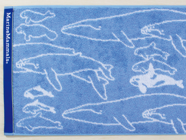 フェイスタオル　海の哺乳類　ブルー