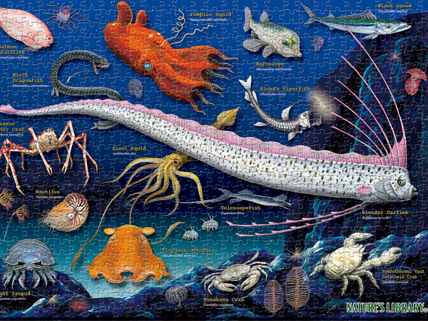 ジグソーパズル 深海生物